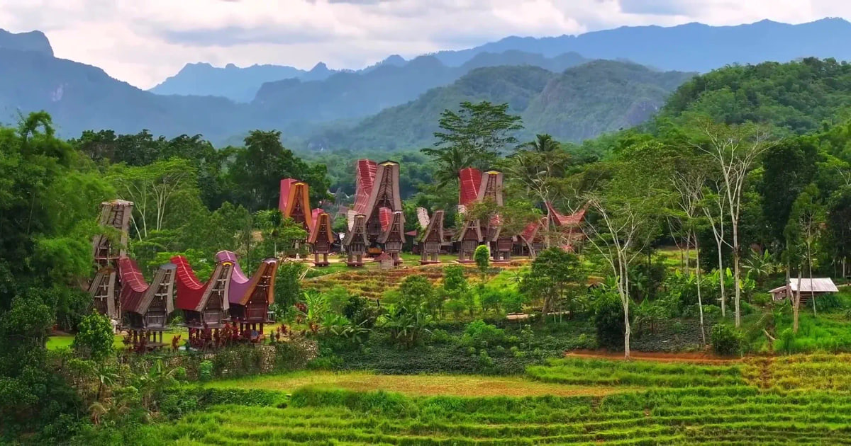 Rumah tongkonan dan sawah bertingkat di Tana Toraja, Sulawesi